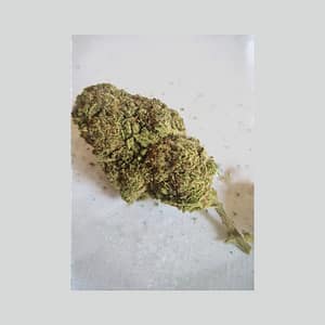 snow-og